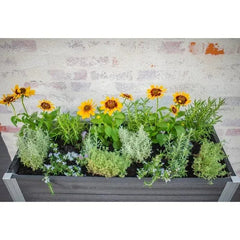 Vita Urbana Greens Elevated Garden