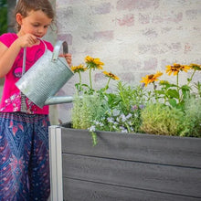Raised garden planter with yellow flowers and dense green seedlings ready to water