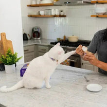 Cat eating wet cat food from a bowl on a countertop, with Wellness Good Kitty pack