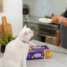 White cat being fed wet cat food from a spoon; purple Wellness Good Kitty pack visible