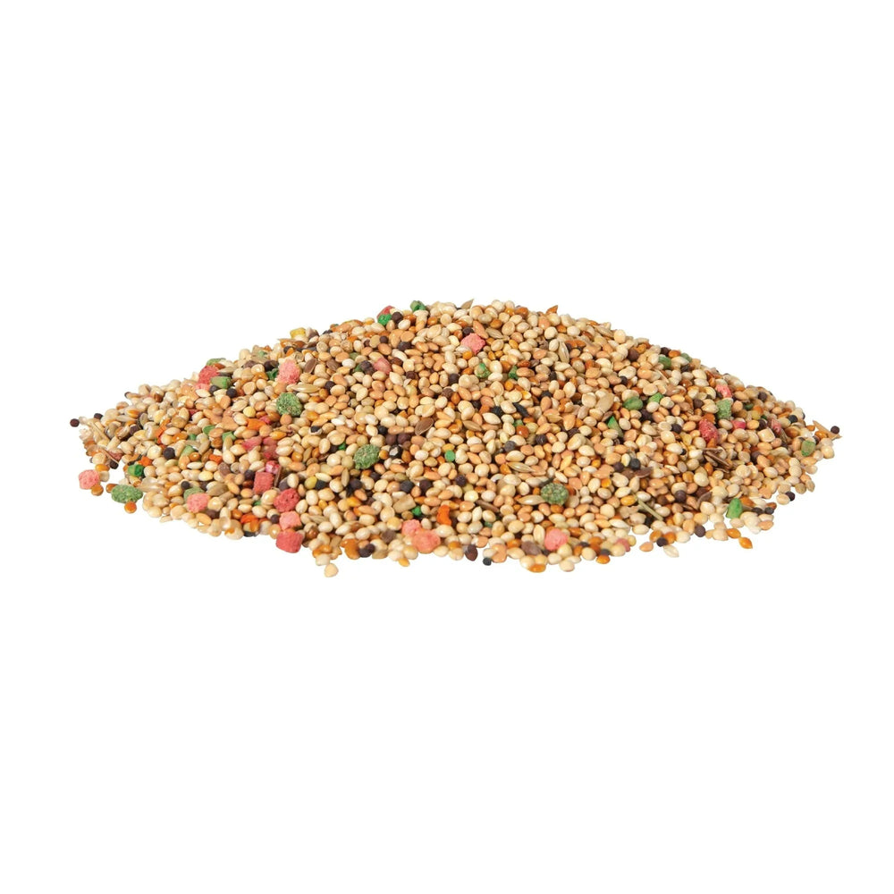 Wild Harvest Parakeet, Canary & Finch Daily Nutrition Blend, 5 lbs. - USA MEGA SHOP