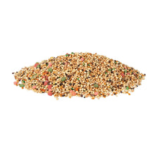 Loose parakeet seed mix, multicolored small grains heap