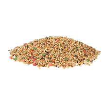 Canary and finch seed mix, colorful dry pellets and grains in a pile