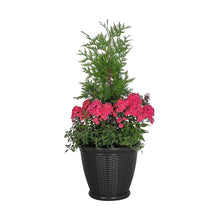 Dark gray woven decorative planter holding green foliage and bright pink blossoms