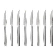 Stainless steak knives with pointed blades and light handles, set of 8