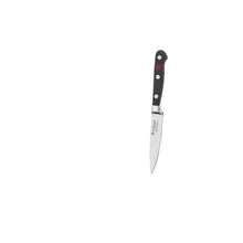 Paring knife with stainless blade and black handle with rivets