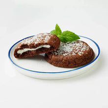 Dark chocolate patties on a plate, dusted with sugar and mint leaf