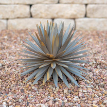 Yucca metal garden sculpture with radial leaf blades and central flower