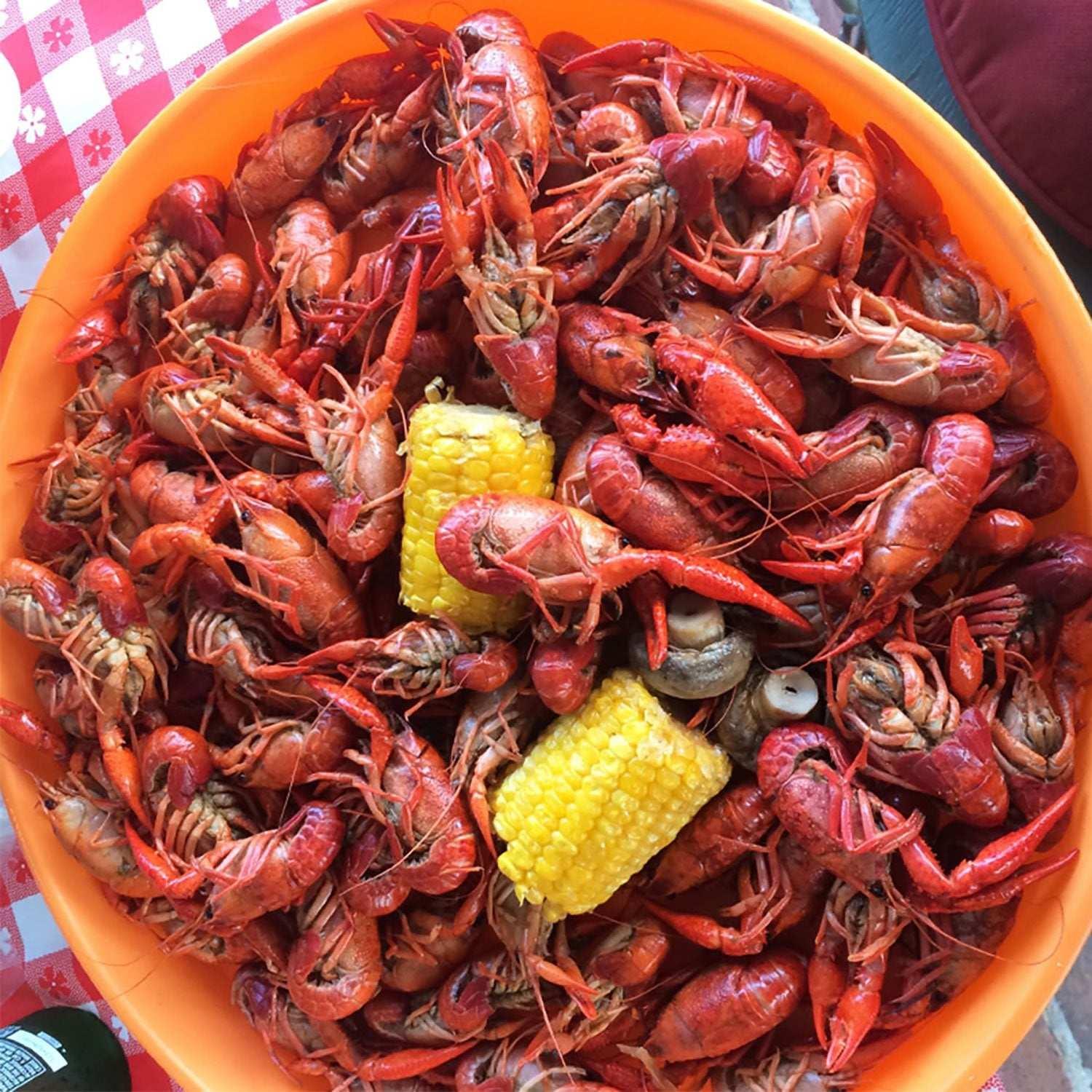 Zatarain's Crawfish, Shrimp and Crab Boil, 4.5 lbs. - USA MEGA SHOP