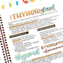 Dual-tip highlighters highlighting handwritten notes on a spiral notebook page
