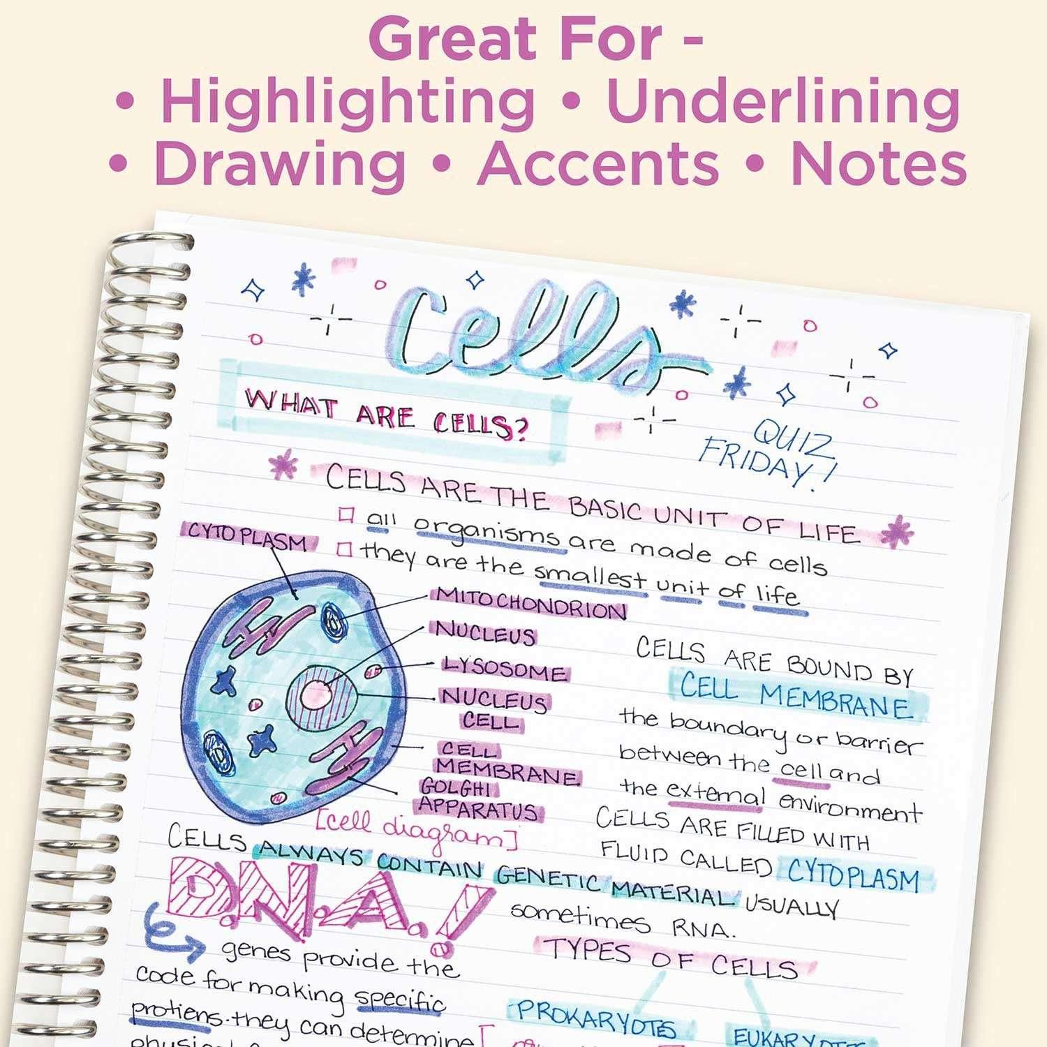 Zebra Mildliner Double Ended Highlighter Assorted 18 pk. - USA MEGA SHOP
