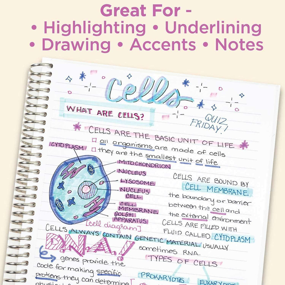 Zebra Mildliner Double Ended Highlighter Assorted 18 pk. - USA MEGA SHOP