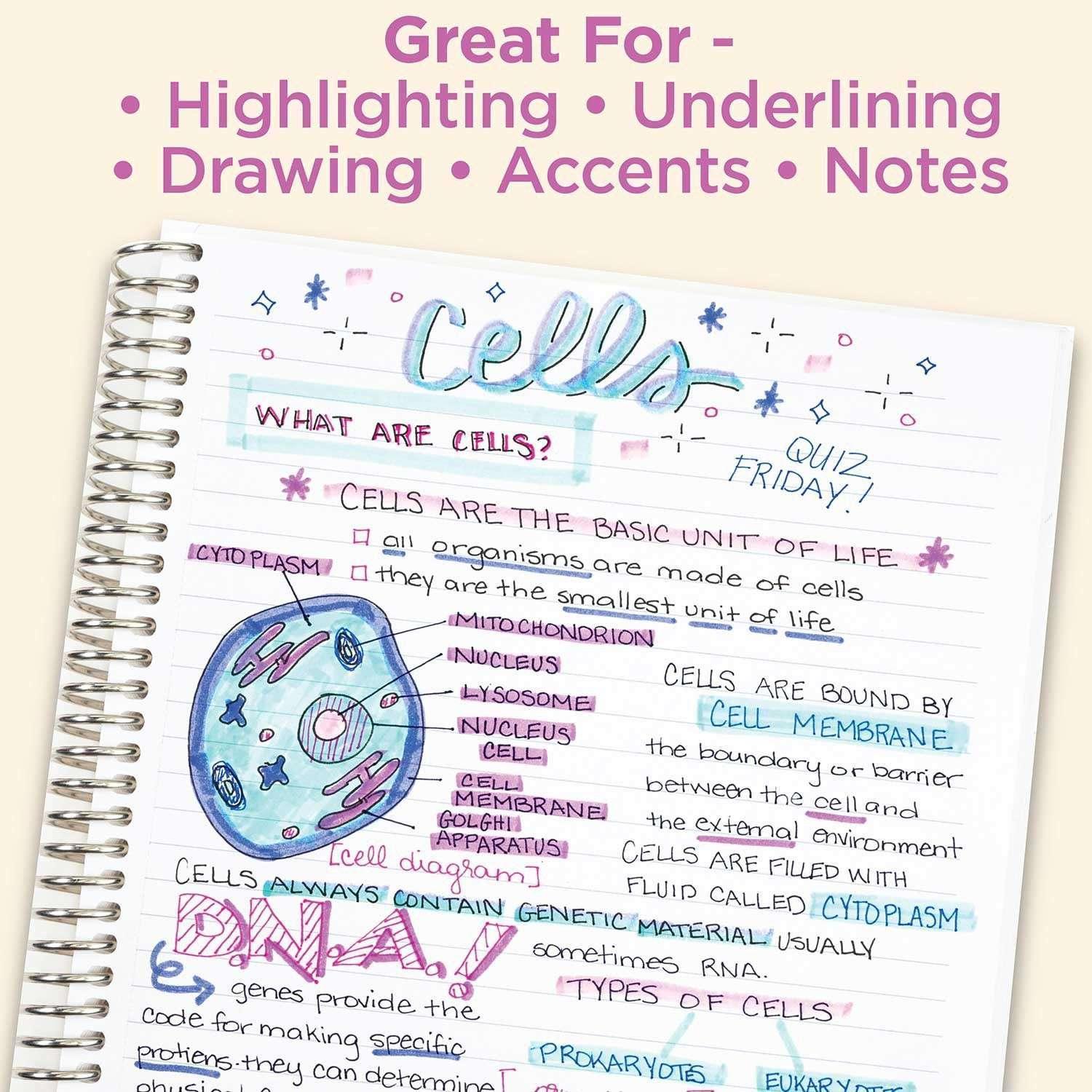 Zebra Mildliner Double Ended Highlighter Assorted 18 pk.