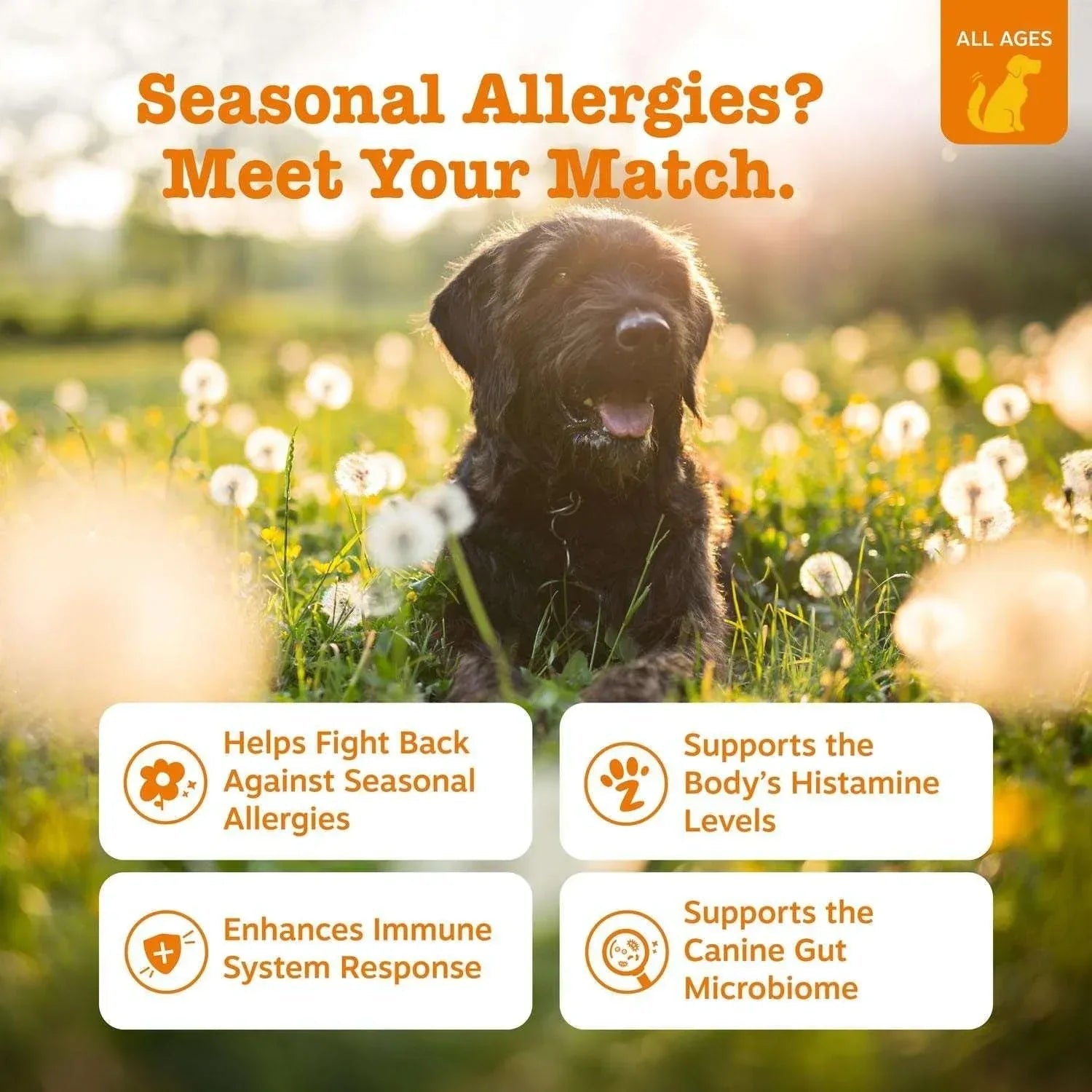 Zesty Paws Allergy & Immune, Salmon, 160 ct.