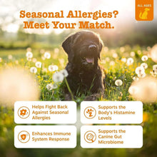 All ages seasonal allergies promo graphic with dog and four benefit callouts
