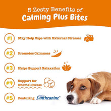 Calming Plus Bites benefits infographic with resting dog and numbered callouts