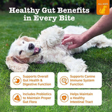 Probiotic bites ad with two white dogs lying on grass and benefit icons.