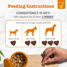 Probiotic bites feeding instructions graphic with dog size guide and bite pieces.