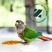 Parrot beside FruitBlend bird food with Healthy Feathers emblem on the bag
