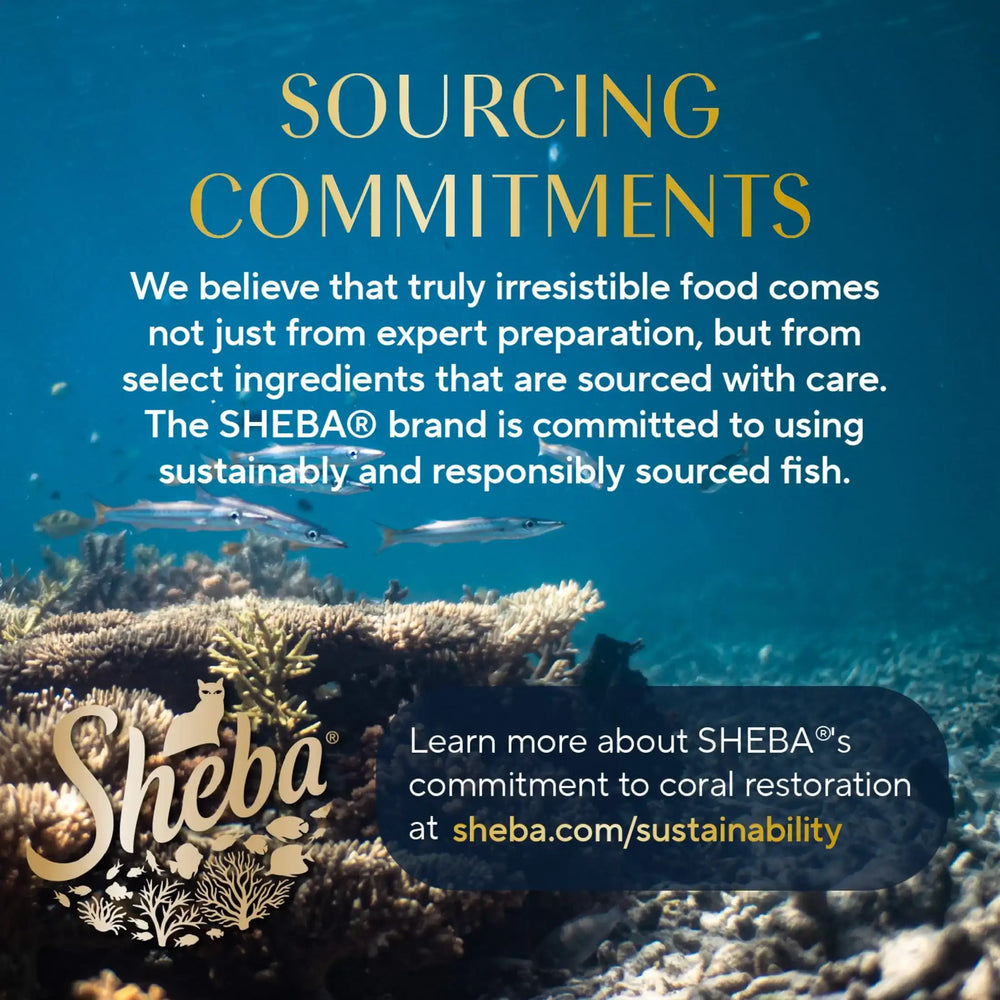 Sheba Perfect Portions Kitten Variety Flavors Pate Wet Cat Food, 2.6 oz Twin-Pack Trays (12 Pack)