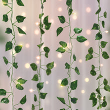 Close-up LED vine curtain lights with green leaves and warm white bulbs