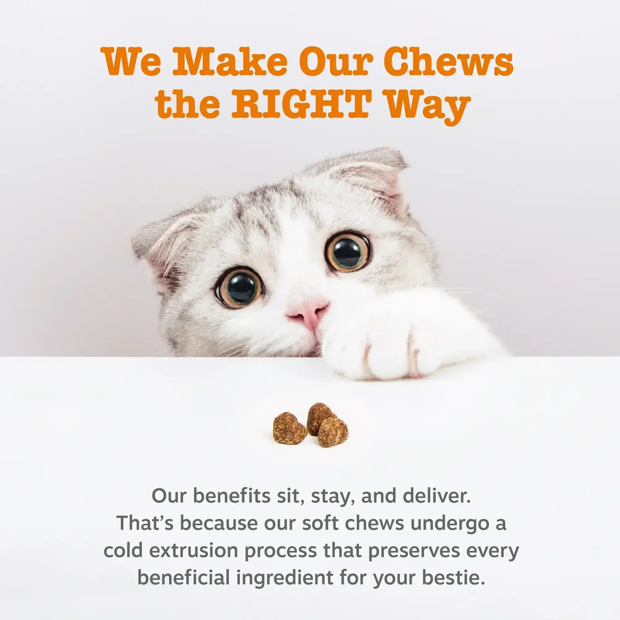 Zesty Paws Calming Bites for Cats, for Calmness, Composure & Relaxation, Bacon 30 ct - USA MEGA SHOP