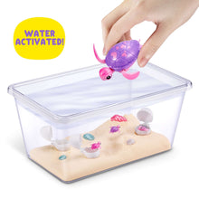Water-activated turtle toy in clear tank with purple turtle and mini baby turtles