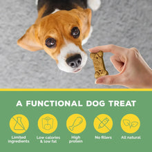 Dog looking at a hand holding a bone-shaped biscuit treat