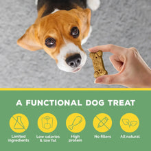Dog treat held toward an orange-and-white dog; crunchy bone-shaped biscuit