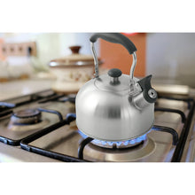 Silver stainless steel whistle tea kettle on induction burner, black handle and lid knob