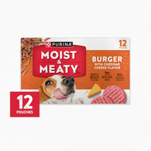 Dog food pouch multipack box showing burger cheddar flavor and 12 pouches