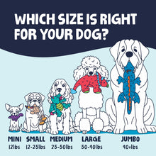 Rooster plush toy size chart showing mini to jumbo options for dogs