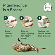 Cat litter maintenance infographic with a cat and Breeze litter box care steps.