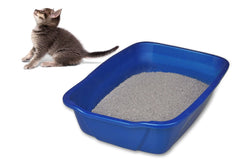 Van Ness Cat Litter Pan, Small, Color May Vary - USA MEGA SHOP