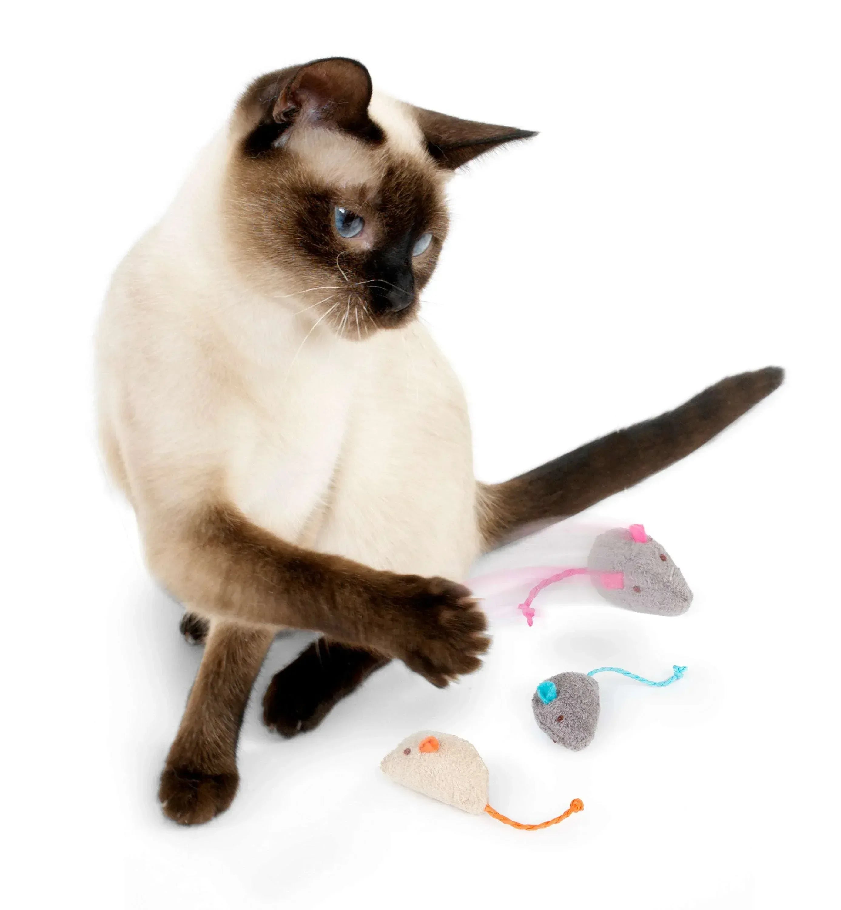 SmartyKat Skitter Critters Value Pack, Soft Plush Catnip Filled Mice Cat Toys, 10 Count