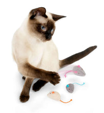 Cat playing with plush mouse toys: gray and cream mice with colorful strings.