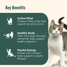 Indoor Complete dry cat food Key Benefits panel with cat illustration and icons