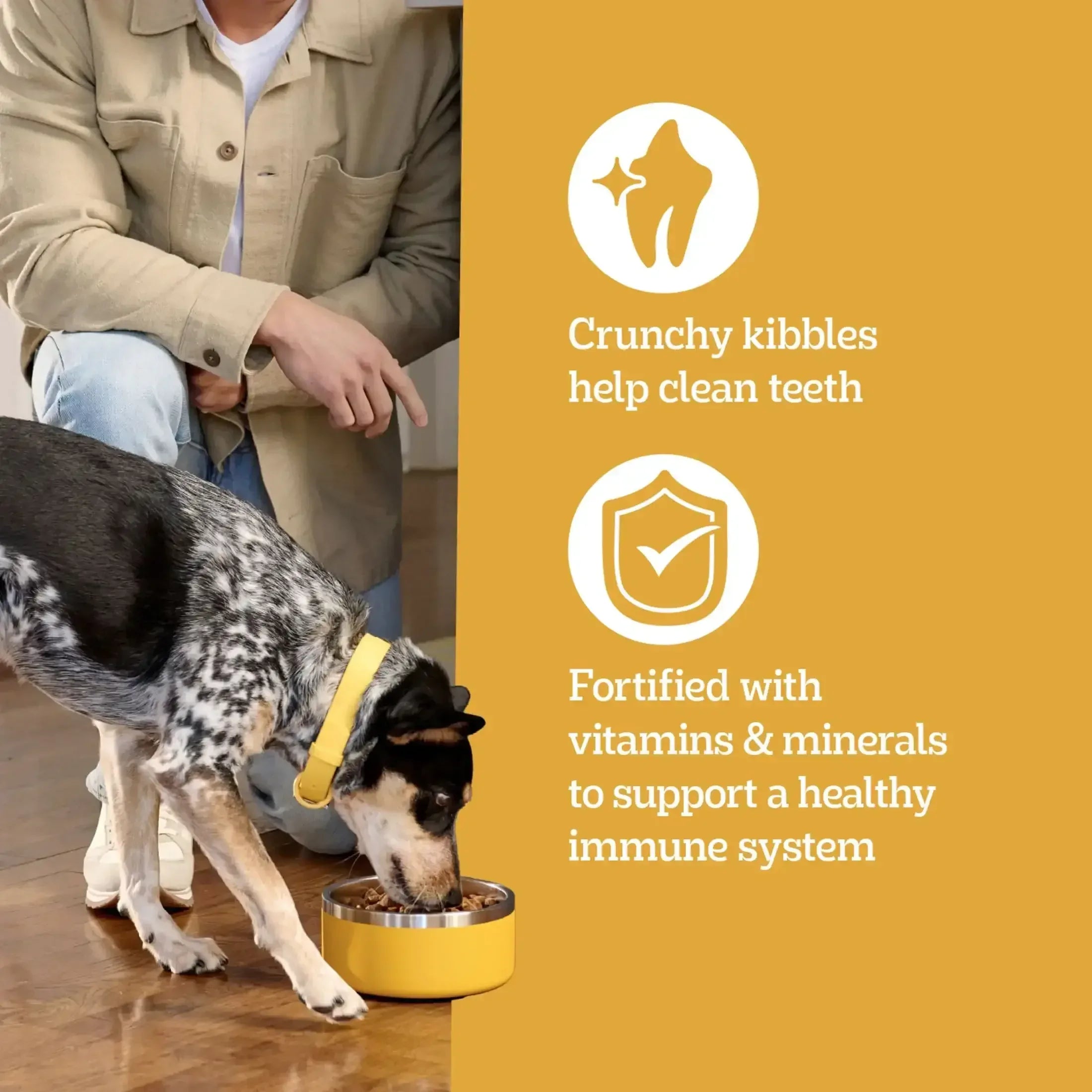 Pedigree High Protein Adult Dry Dog Food, Beef and Lamb Flavor