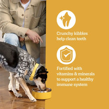 Dry dog food feeding benefits with adult dog and puppy icons