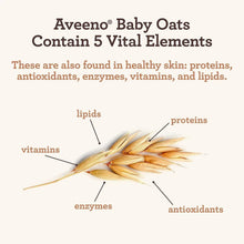 Baby oats infographic showing labeled proteins, lipids, vitamins, enzymes, antioxidants