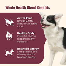 Dry dog food benefits panel with dog infographic: Active Mind, Healthy Body, Balanced Energy
