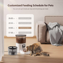 Programmable pet feeder with LCD feeding schedule and white food container