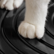 Cat paw on black interior grille inside a top-entry litter box