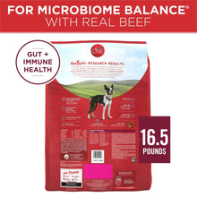 Purina ONE dog food back panel with real beef and 16.5 pounds marking