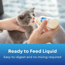 Kitten drinking milk replacer liquid from a feeding bottle held by hands.