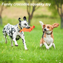 Orange crocodile squeaky dog chew toy in grass near two dogs.