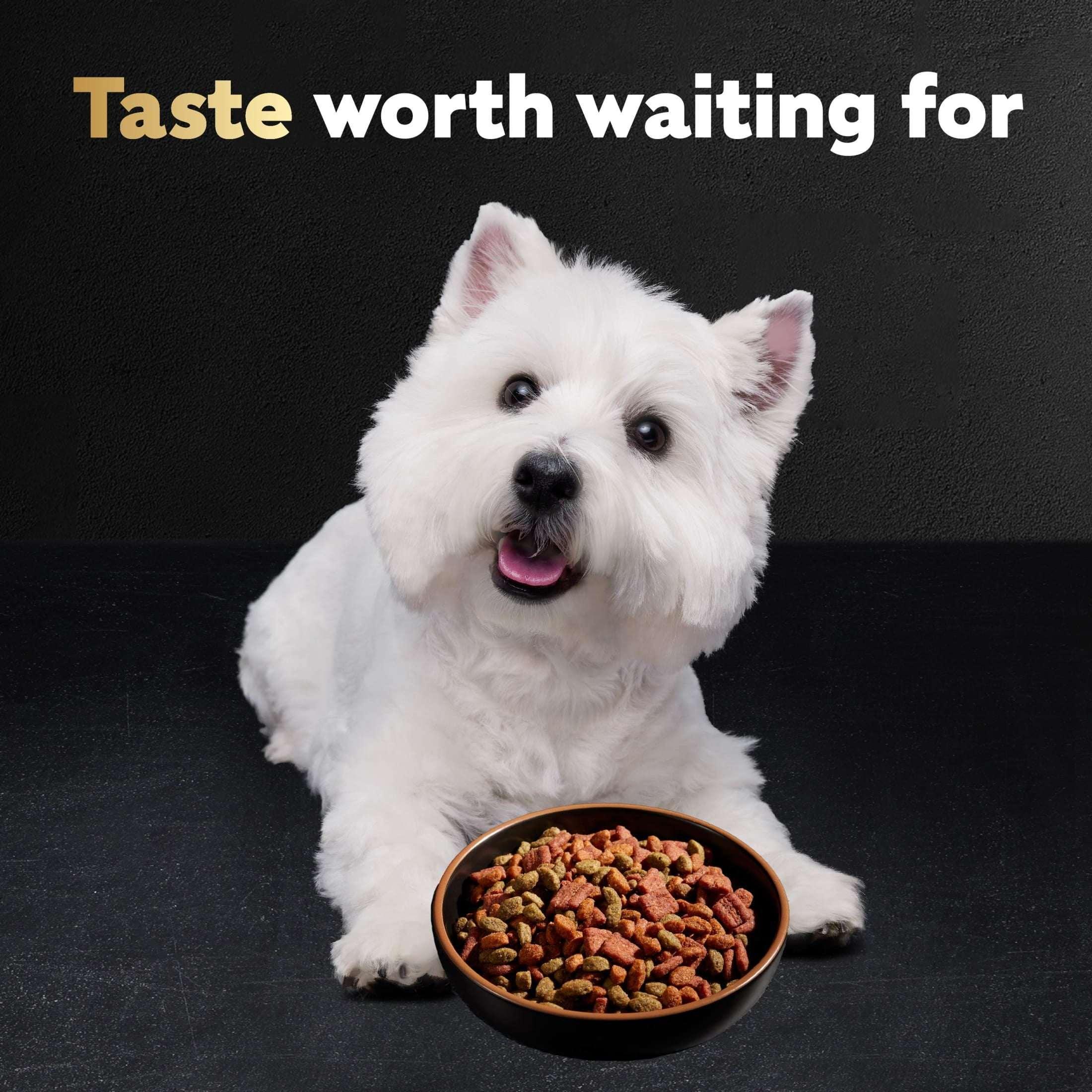 Cesar Filet Mignon and Spring Vegetables Dry Dog Food, 5 lb Bag