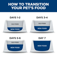Pet food transition guide trays labeled days 1–2, 3–4, 5–6, and 7