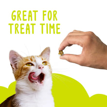 Orange-and-white cat biting a small treat held by a hand, treat time message