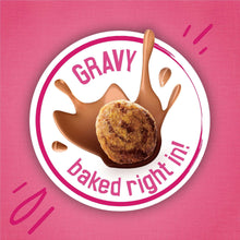 Brown dry cat food kibble piece in gravy splash icon